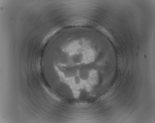 X0000077360586200611101641