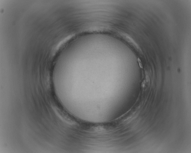 X0000077360588200611101641