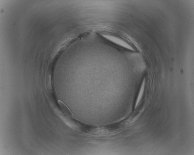 X0000077360589200611101641