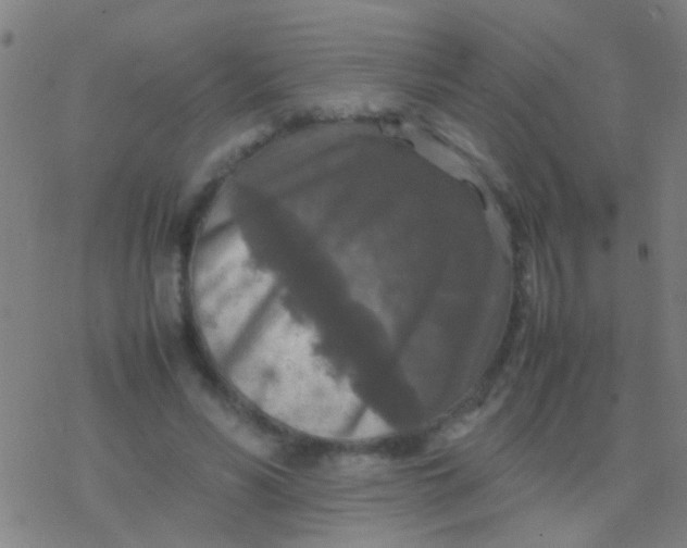 X0000077360590200611101641