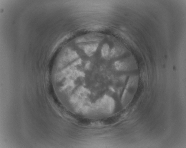 X0000077360591200611101641