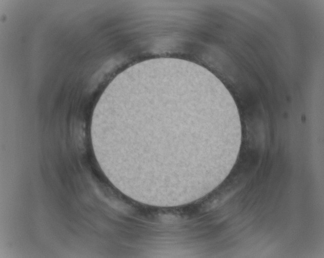 X0000077360592200611101641