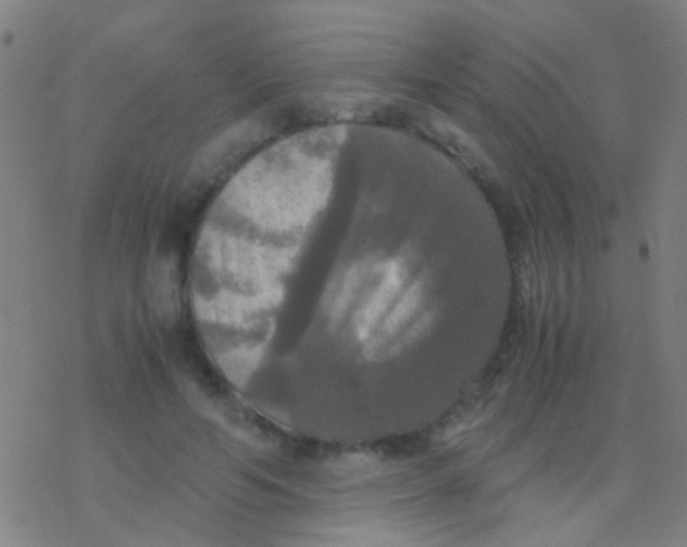 X0000077360594200611101641