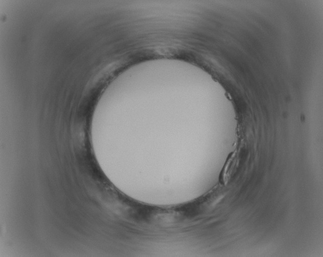 X0000077360595200611101641