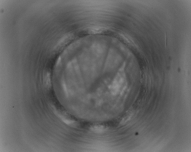 X0000077360598200611101641