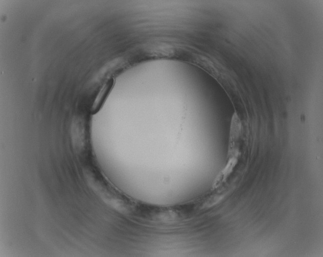 X0000077360600200611101641