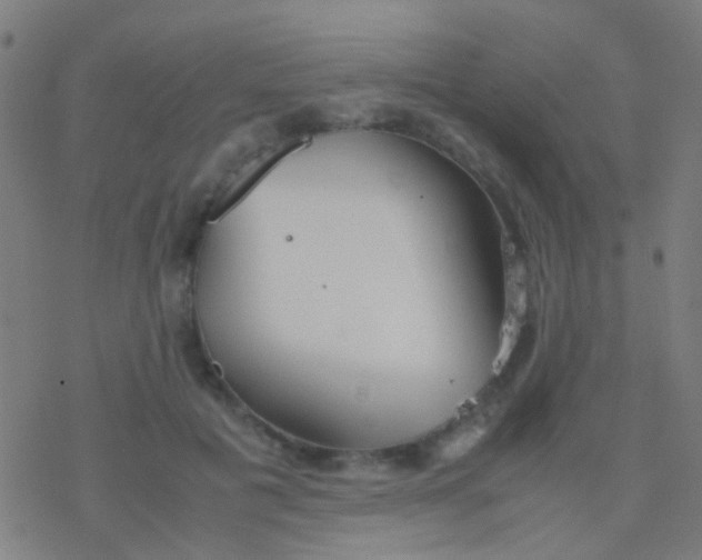 X0000077360601200611101641