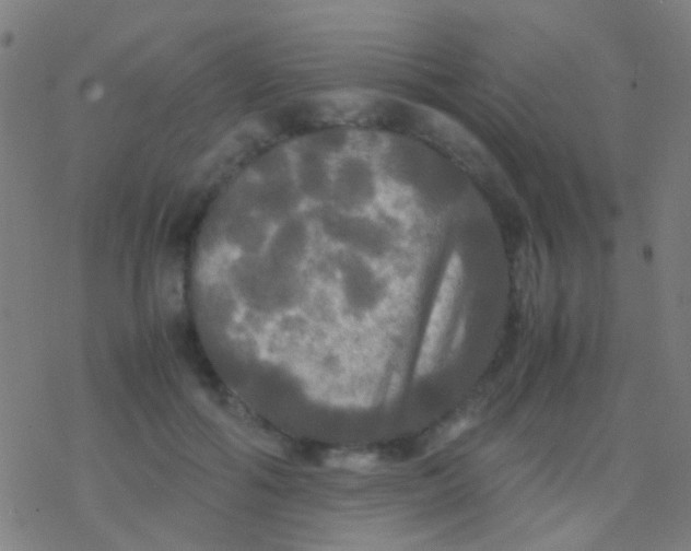 X0000077360602200611101641