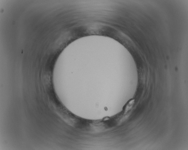 X0000077360603200611101641