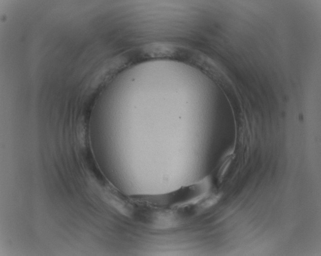 X0000077360604200611101641