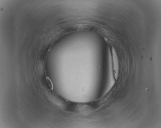 X0000077360605200611101641