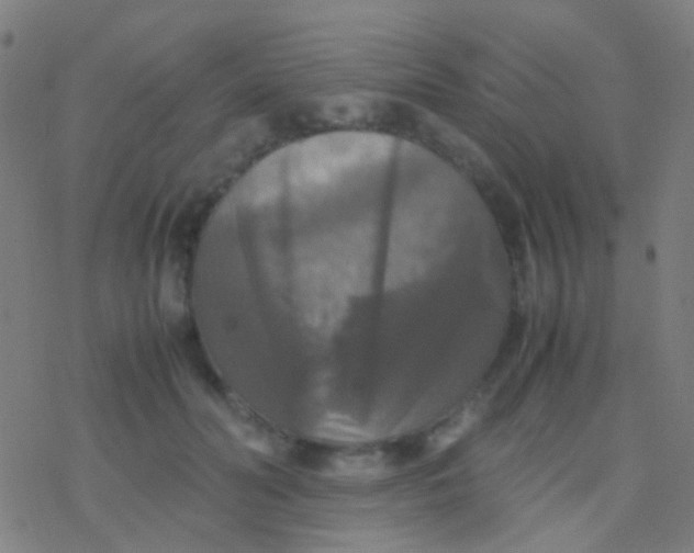 X0000077360606200611101641