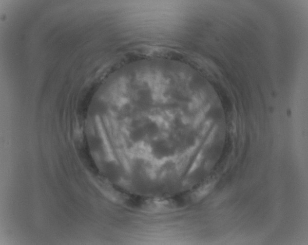 X0000077360607200611101641