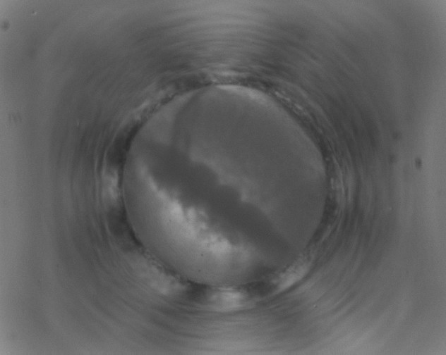 X0000077360610200611101641