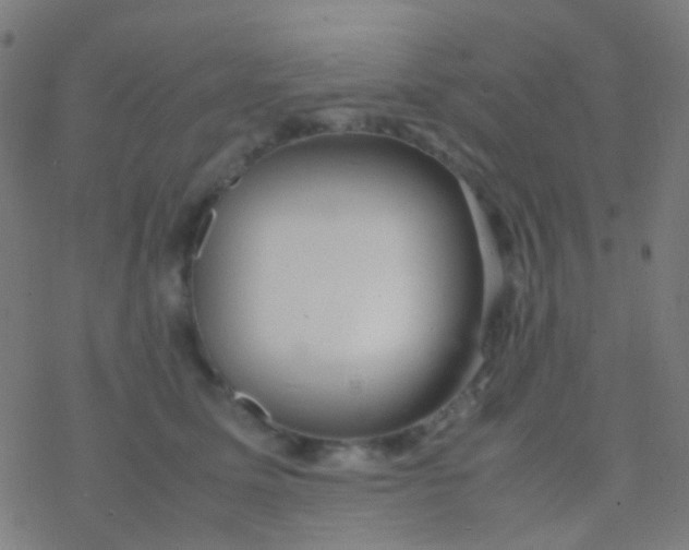 X0000077360611200611101641