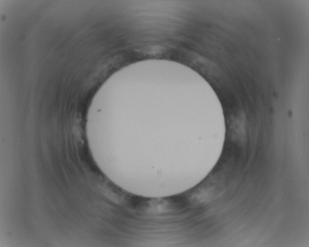 X0000077360612200611101641