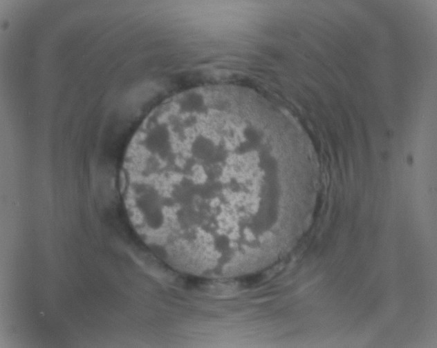 X0000077360615200611101641