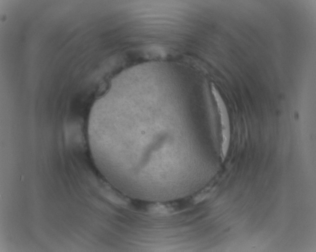 X0000077360616200611101641