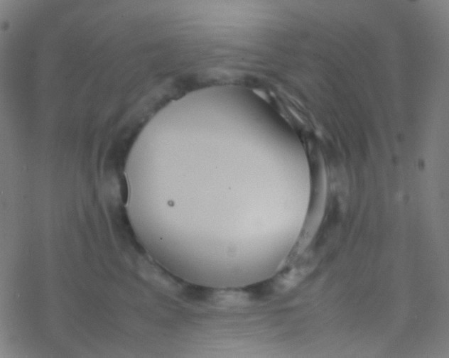 X0000077360617200611101641