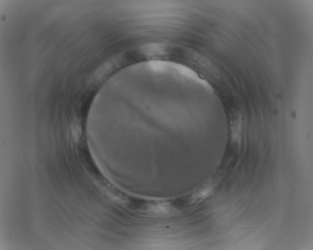 X0000077360618200611101641