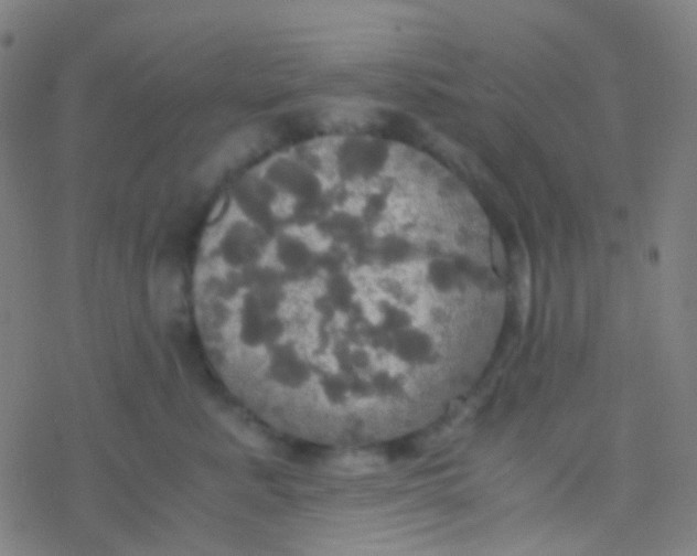 X0000077360619200611101641