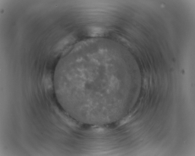 X0000077360620200611101641