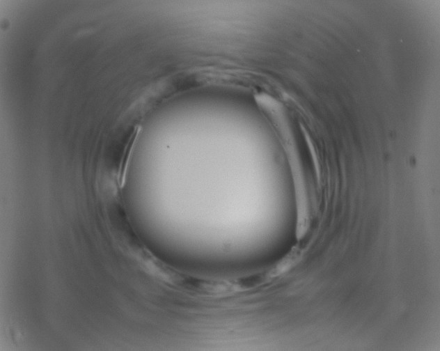 X0000077360621200611101641