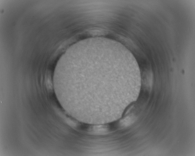 X0000077360622200611101641