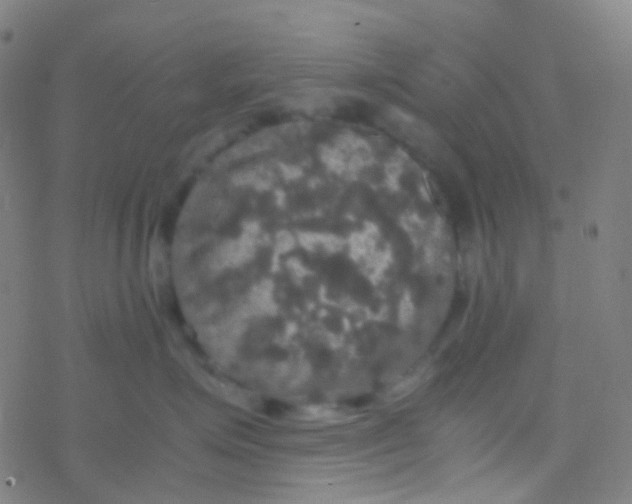 X0000077360623200611101641