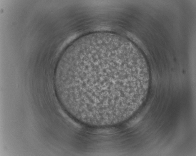 X0000077360625200611101640