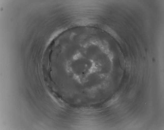 X0000077360626200611101640