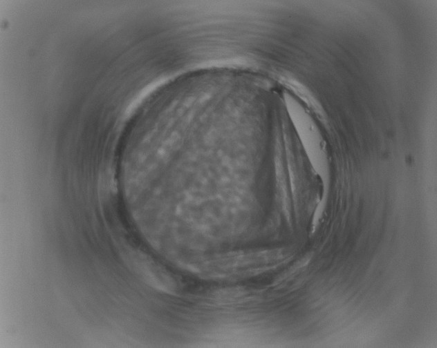 X0000077360628200611101640