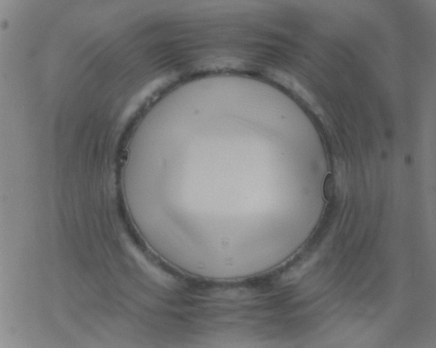 X0000077360629200611101640