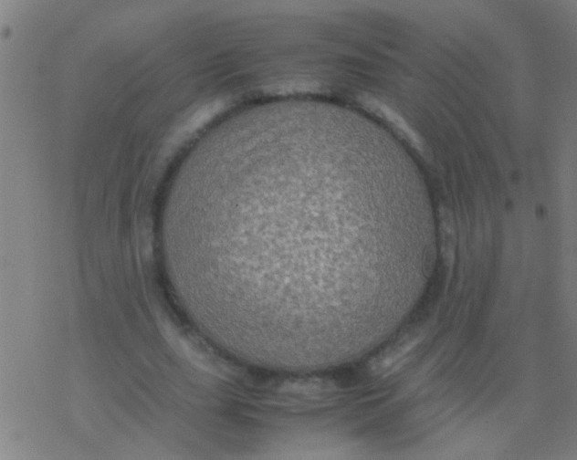 X0000077360631200611101640