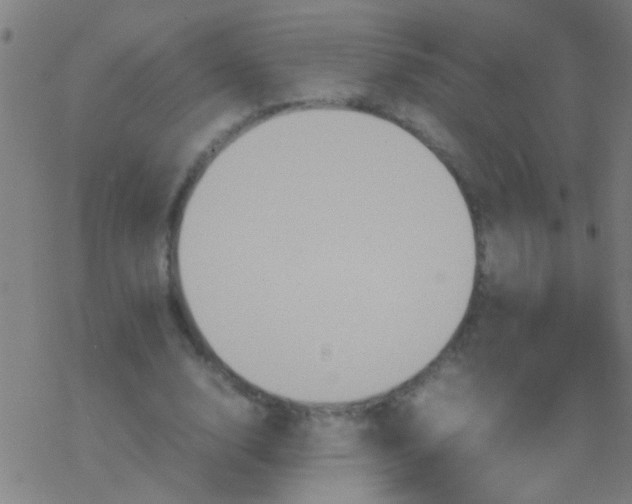 X0000077360632200611101640