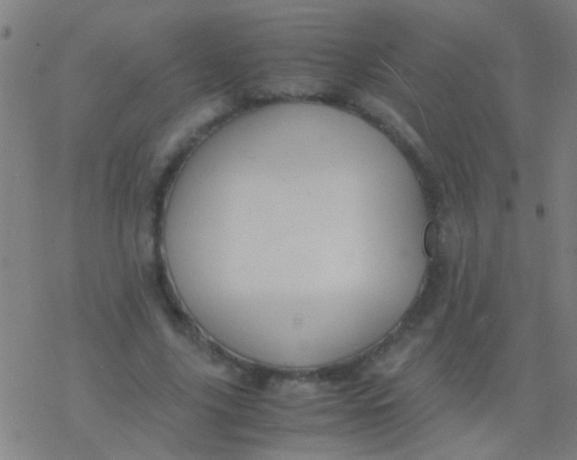 X0000077360635200611101640