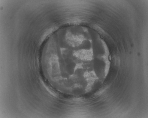 X0000077360638200611101640