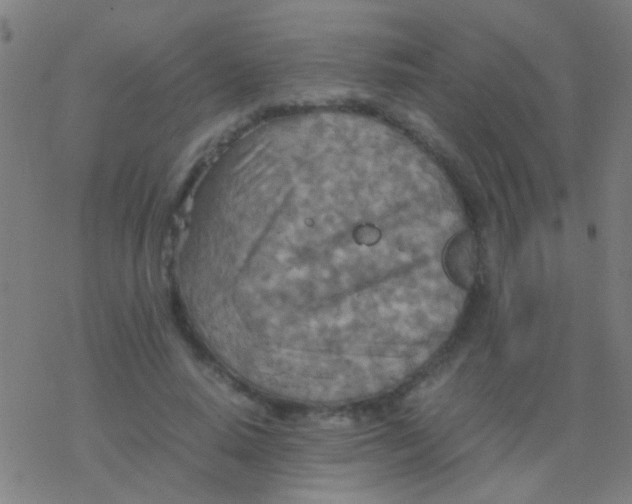 X0000077360640200611101640