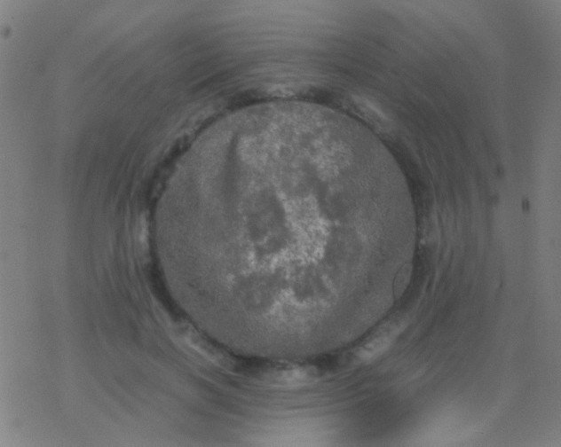 X0000077360646200611101640