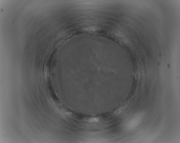 X0000077360647200611101640