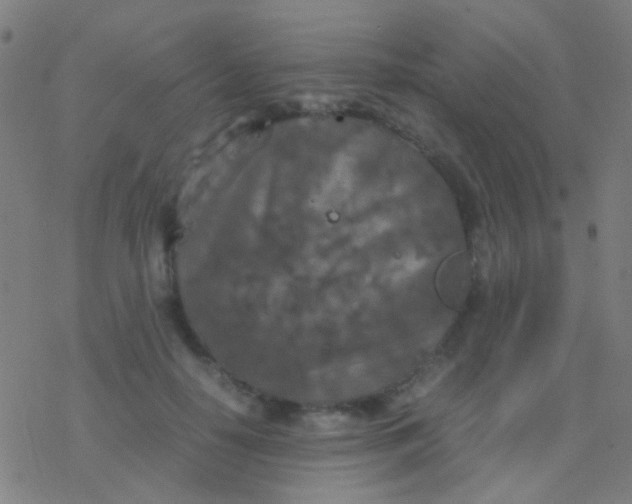 X0000077360650200611101640