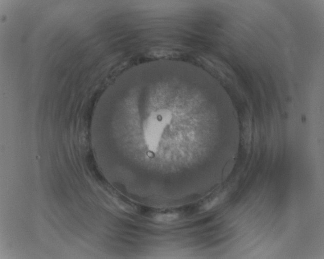 X0000077360653200611101640