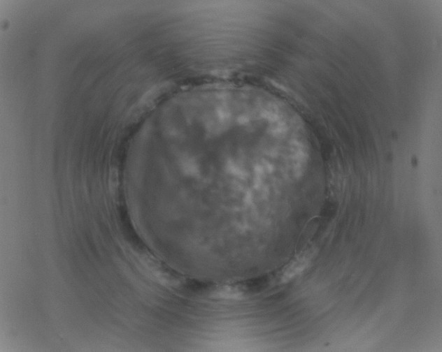 X0000077360656200611101640