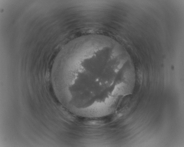 X0000077360657200611101640