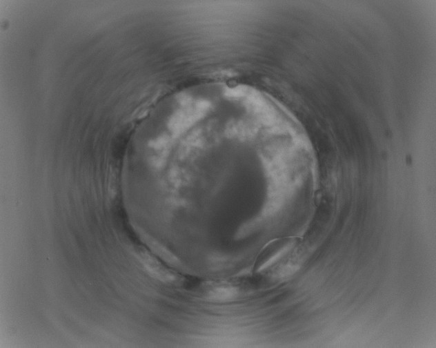 X0000077360658200611101640