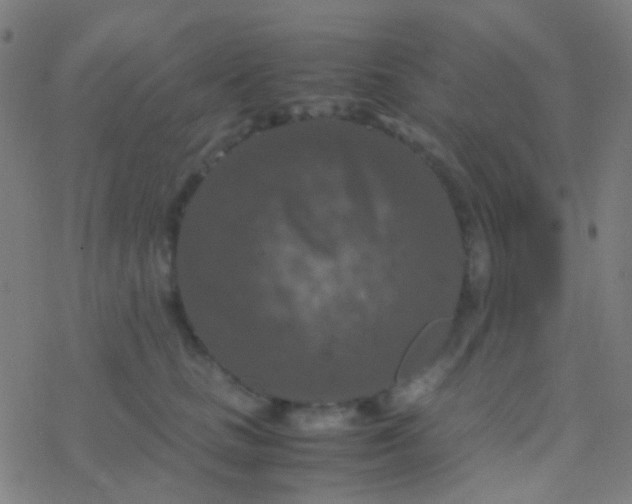 X0000077360661200611101640