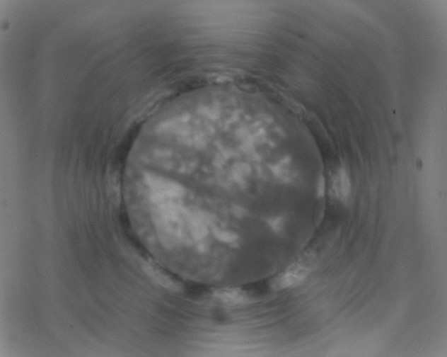 X0000077360666200611101640