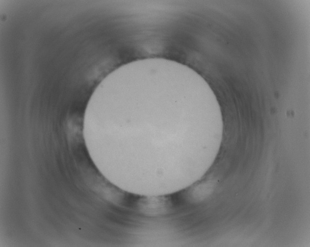 X0000077360672200611101640