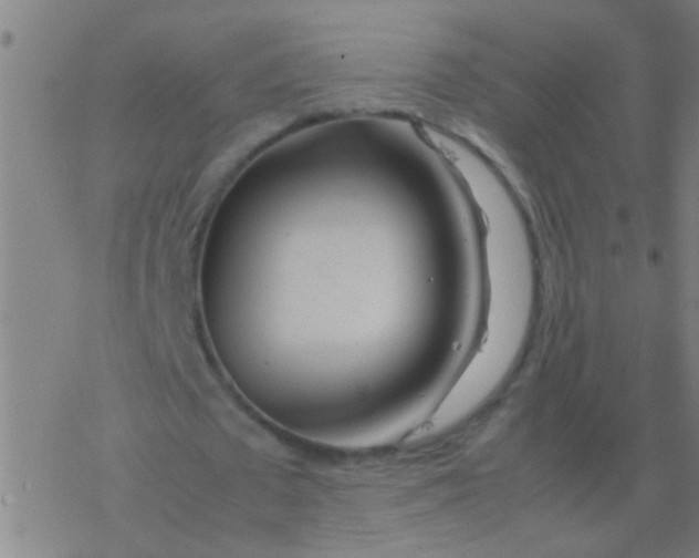 X0000077360673200611101640