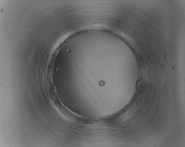 X0000077360674200611101640